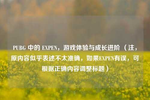 PUBG 中的 EXPEN,游戏体验与成长进阶 (注,原内容似乎表述不太准确,如果EXPEN有误,可根据正确内容调整标题)