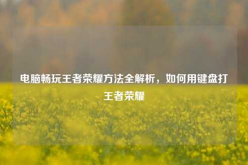 电脑畅玩王者荣耀方法全解析,如何用键盘打王者荣耀