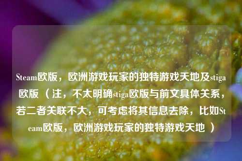 Steam欧版，欧洲游戏玩家的独特游戏天地及stiga欧版 （注，不太明确stiga欧版与前文具体关系，若二者关联不大，可考虑将其信息去除，比如Steam欧版，欧洲游戏玩家的独特游戏天地 ）
