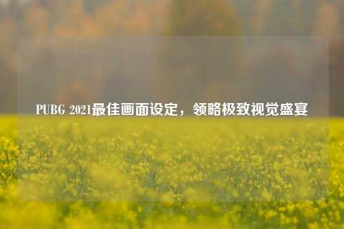 PUBG 2021最佳画面设定,领略极致视觉盛宴