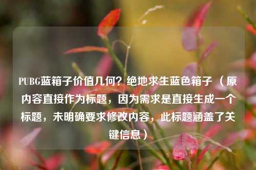 PUBG蓝箱子价值几何？绝地求生蓝色箱子 （原内容直接作为标题，因为需求是直接生成一个标题，未明确要求修改内容，此标题涵盖了关键信息）