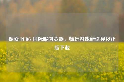 探索 PUBG 国际服浏览器，畅玩游戏新途径及正版下载