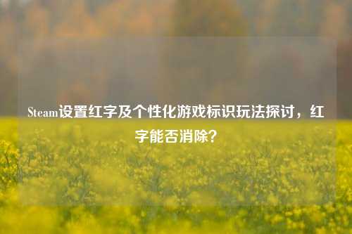 Steam设置红字及个性化游戏标识玩法探讨,红字能否消除?