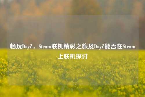 畅玩DayZ,Steam联机精彩之旅及DayZ能否在Steam上联机探讨
