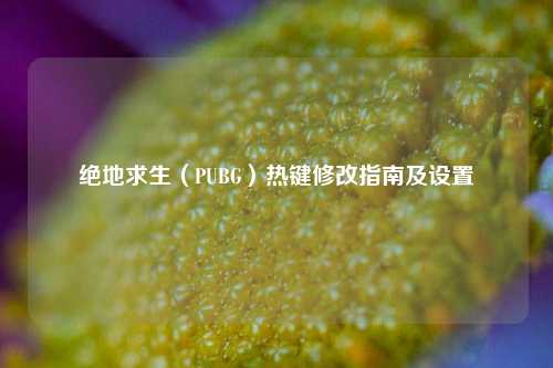 绝地求生(PUBG)热键修改指南及设置