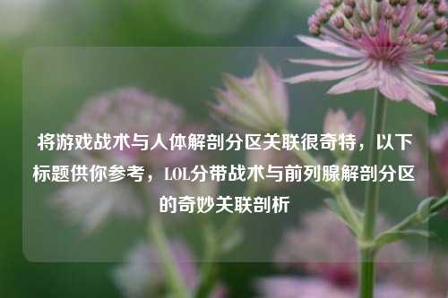 将游戏战术与人体解剖分区关联很奇特,以下标题供你参考,LOL分带战术与前列腺解剖分区的奇妙关联剖析