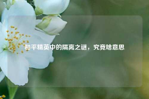 和平精英中的隔离之谜,究竟啥意思