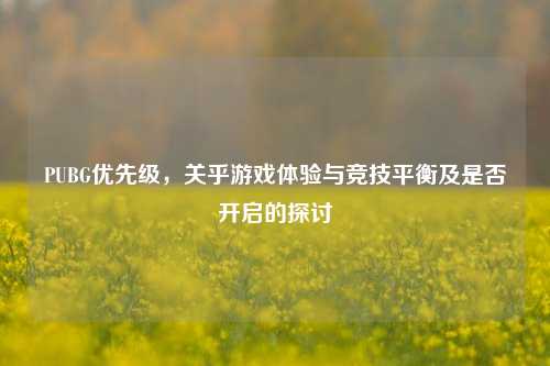 PUBG优先级,关乎游戏体验与竞技平衡及是否开启的探讨