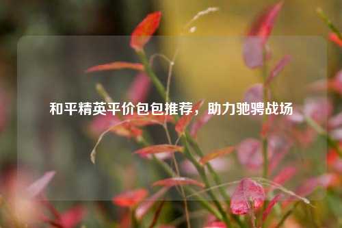 和平精英平价包包推荐，助力驰骋战场