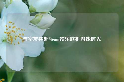 与室友共赴Steam欢乐联机游戏时光