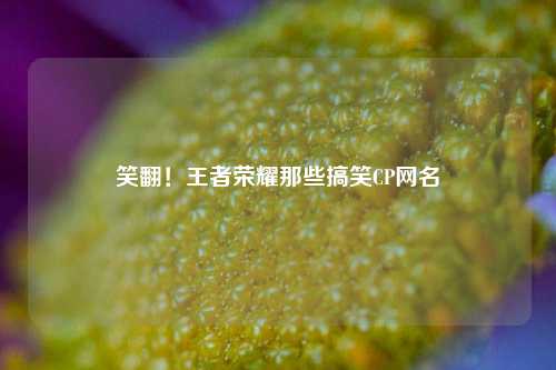 笑翻！王者荣耀那些搞笑CP网名