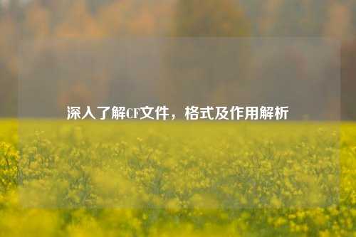 深入了解CF文件,格式及作用解析