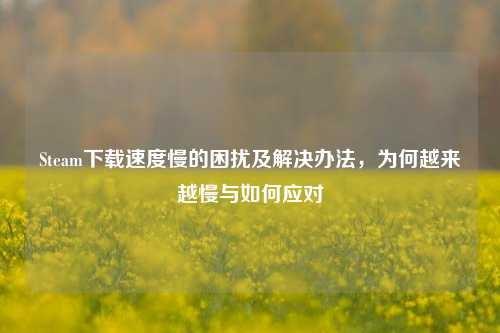 Steam下载速度慢的困扰及解决办法,为何越来越慢与如何应对