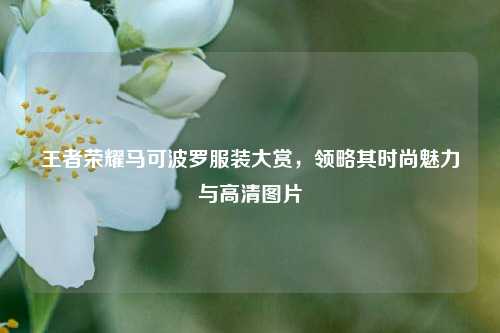 王者荣耀马可波罗服装大赏,领略其时尚魅力与高清图片
