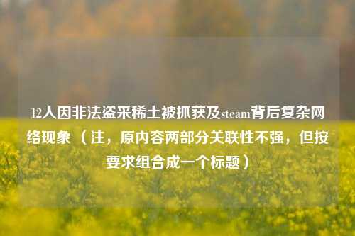 12人因非法盗采稀土被抓获及steam背后复杂网络现象 （注，原内容两部分关联性不强，但按要求组合成一个标题）