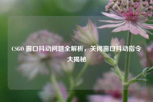 CSGO 窗口抖动问题全解析,关闭窗口抖动指令大揭秘