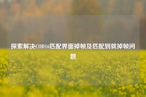 探索解决COD16匹配界面掉帧及匹配到就掉帧问题