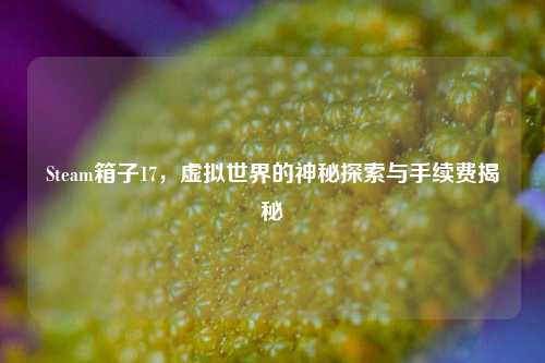 Steam箱子17,虚拟世界的神秘探索与手续费揭秘