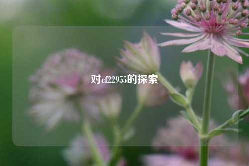 对cf22955的探索