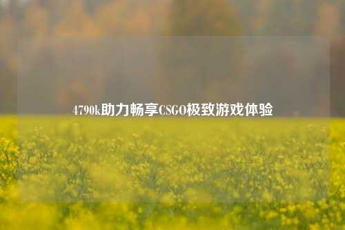 4790k助力畅享CSGO极致游戏体验