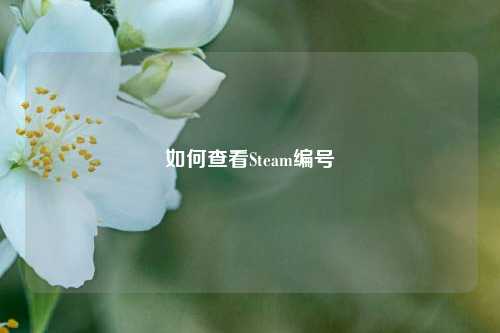 如何查看Steam编号