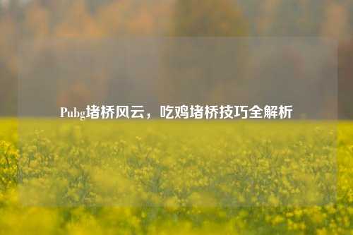 Pubg堵桥风云,吃鸡堵桥技巧全解析