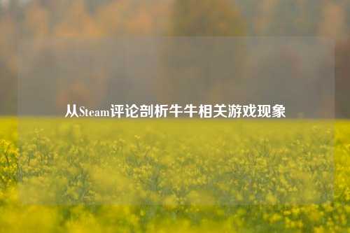 从Steam评论剖析牛牛相关游戏现象