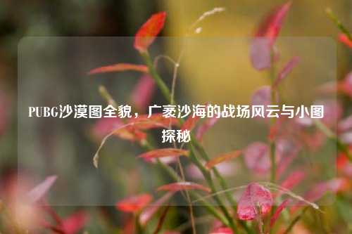 PUBG沙漠图全貌,广袤沙海的战场风云与小图探秘