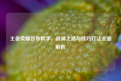 王者荣耀吕布教学,战神之路与技巧打法全面解析