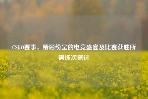 CSGO赛事,精彩纷呈的电竞盛宴及比赛获胜所需场次探讨