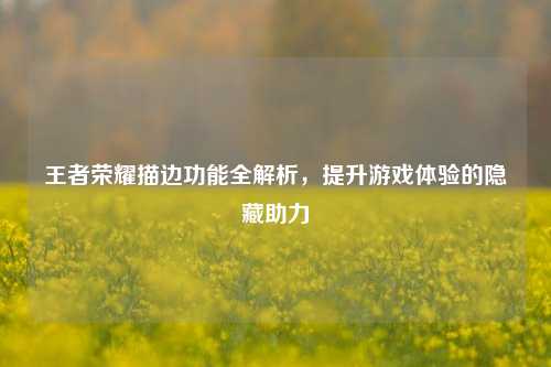 王者荣耀描边功能全解析,提升游戏体验的隐藏助力