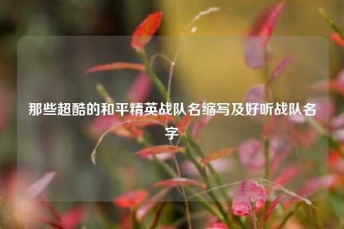 那些超酷的和平精英战队名缩写及好听战队名字