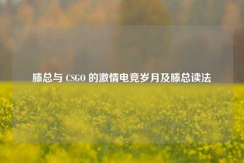滕总与 CSGO 的激情电竞岁月及滕总读法