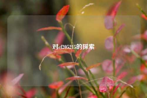 对cf205215的探索