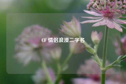 CF 情侣浪漫二字名