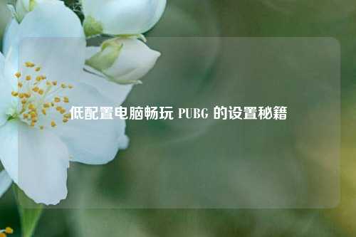 低配置电脑畅玩 PUBG 的设置秘籍