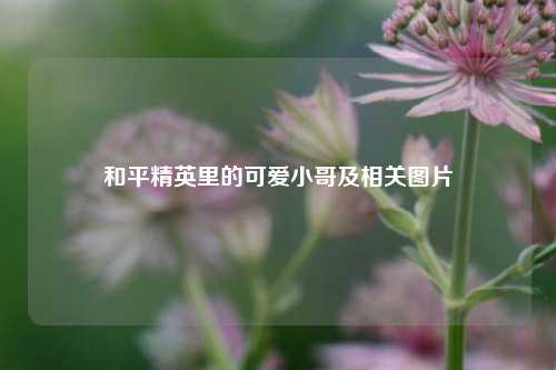 和平精英里的可爱小哥及相关图片