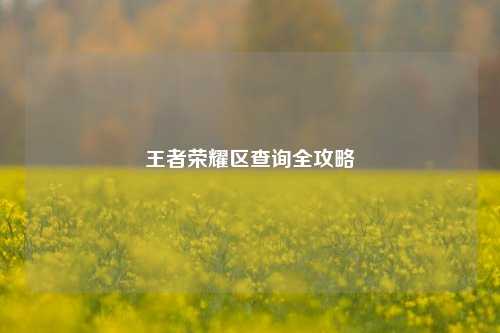 王者荣耀区查询全攻略