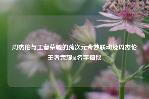 周杰伦与王者荣耀的跨次元奇妙联动及周杰伦王者荣耀id名字揭秘