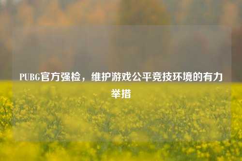 PUBG官方强检,维护游戏公平竞技环境的有力举措