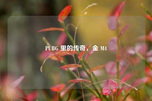 PUBG 里的传奇,金 M4