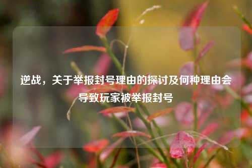 逆战，关于举报封号理由的探讨及何种理由会导致玩家被举报封号
