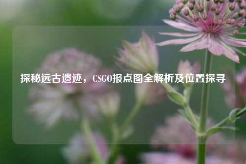 探秘远古遗迹，CSGO报点图全解析及位置探寻