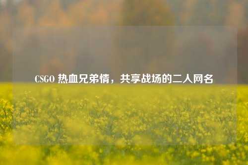 CSGO 热血兄弟情,共享战场的二人网名
