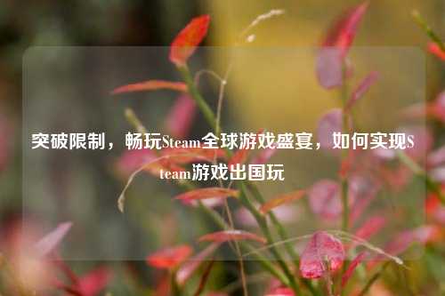 突破限制,畅玩Steam全球游戏盛宴,如何实现Steam游戏出国玩