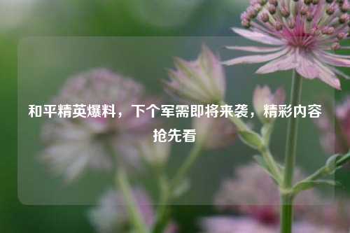和平精英爆料，下个军需即将来袭，精彩内容抢先看
