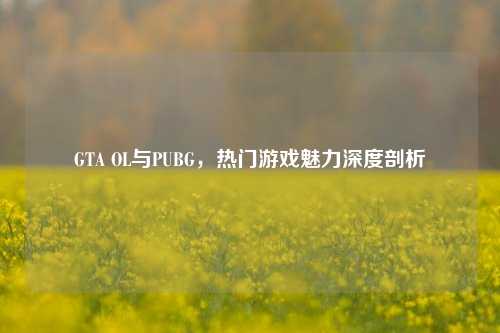 GTA OL与PUBG,热门游戏魅力深度剖析