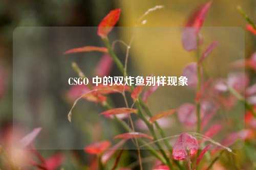 CSGO 中的双炸鱼别样现象