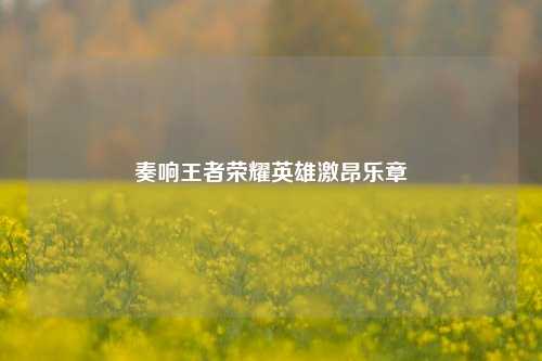 奏响王者荣耀英雄激昂乐章