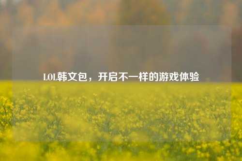 LOL韩文包,开启不一样的游戏体验